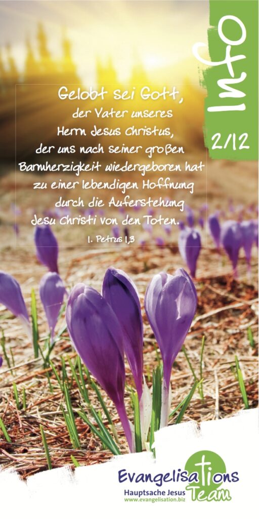 Cover Rundbrief INFO 2/2012